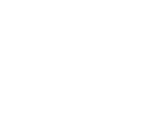 crowdstrike-logo-wh